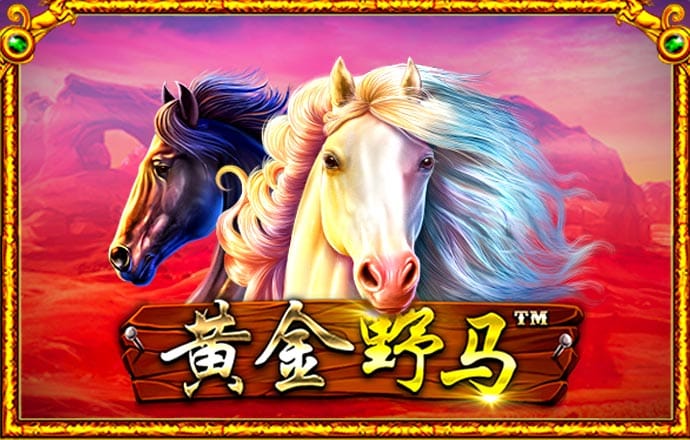 乐冠体育网站入口